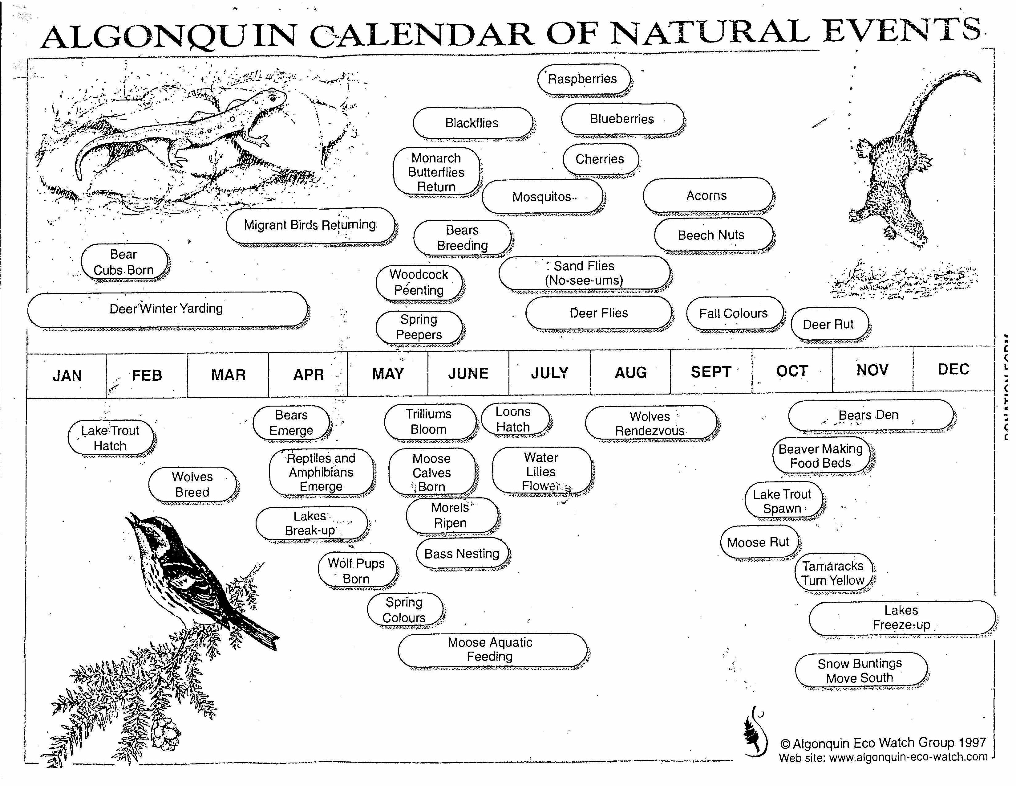 Algonquin Traditions